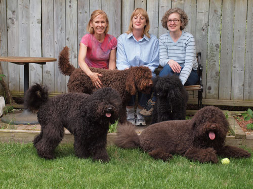 3 Ladies, 3 Barbets and a poodle